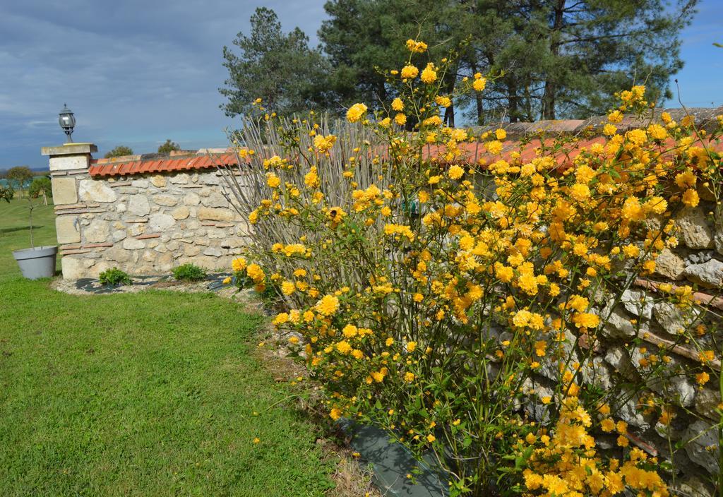 Le Coteau De Bazeille Spa & Sauna Sas Hotel Sainte-Bazeille Exterior photo